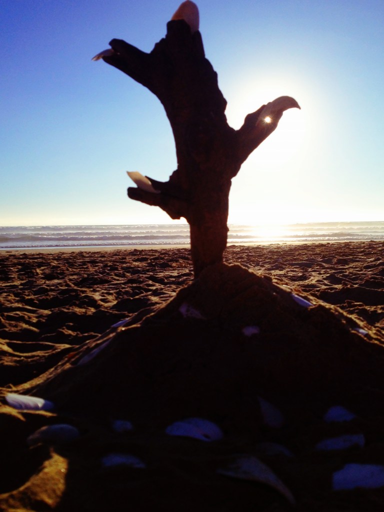 Driftwood sculpture... What do you see?