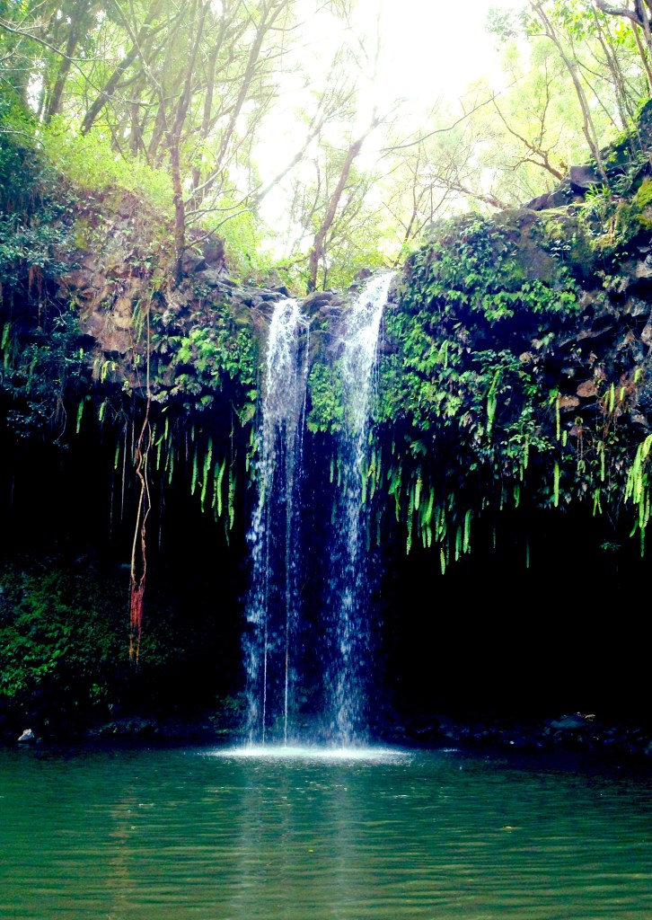 So green, so inviting...