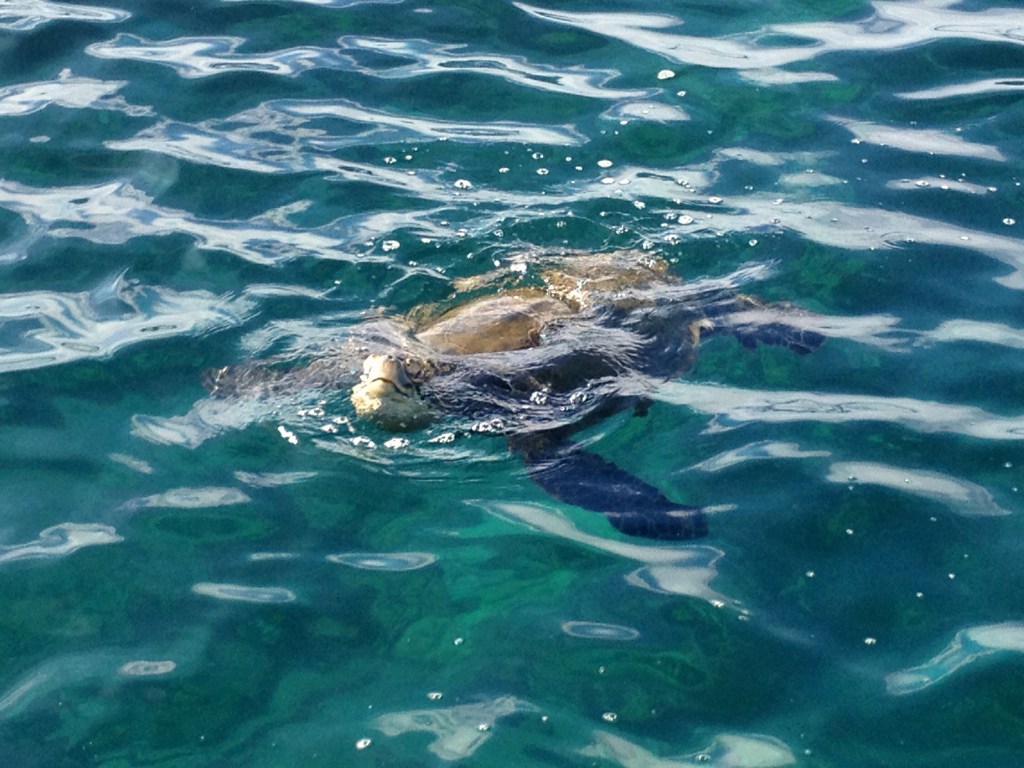 The locals were friendly...