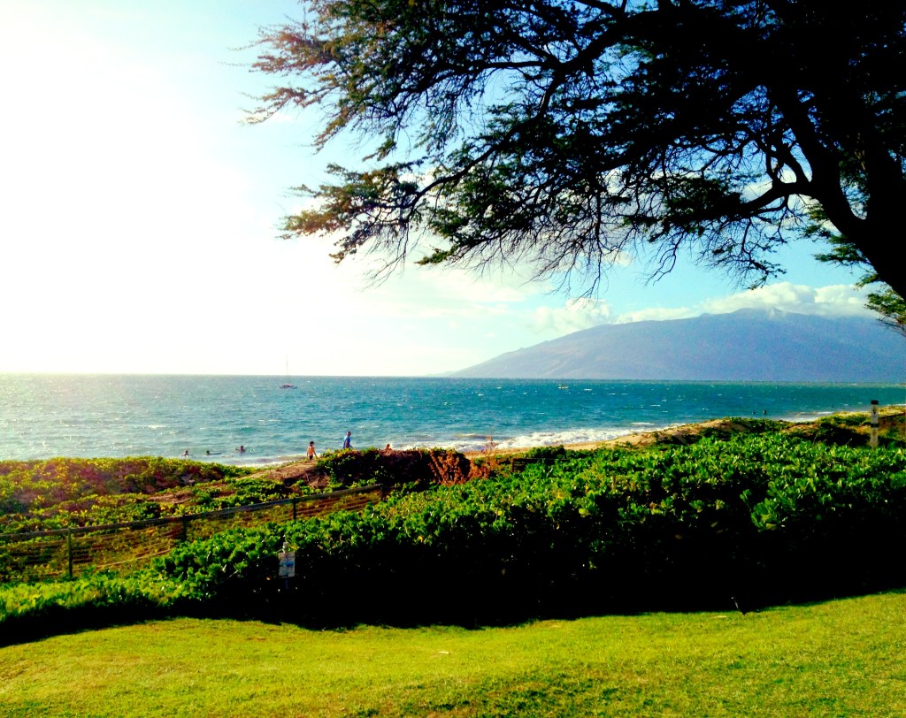 The scenery was breathtaking...