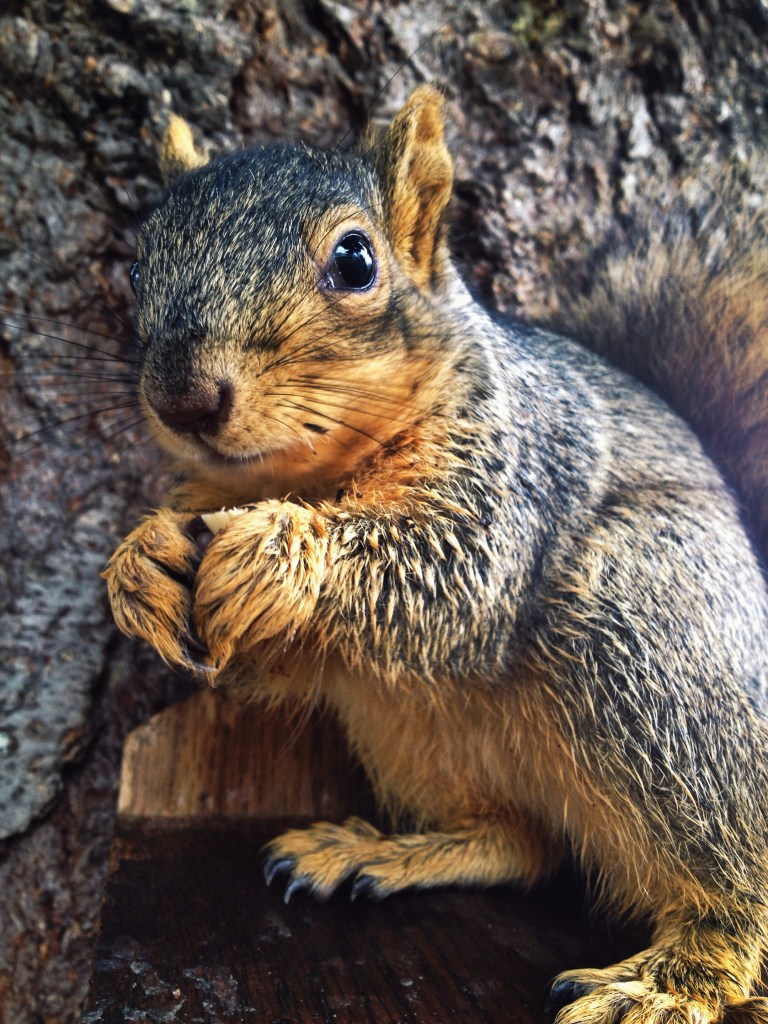 Processed with VSCOcam with g3 preset