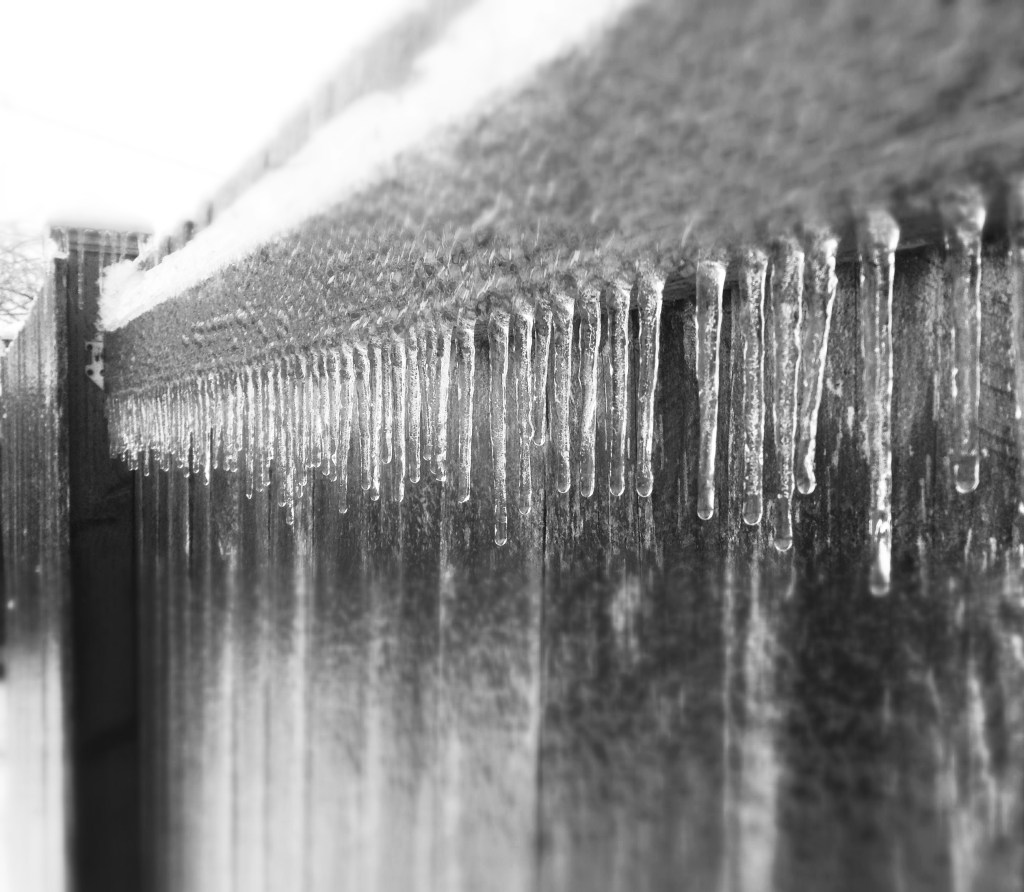 A fabulously frozen fence...