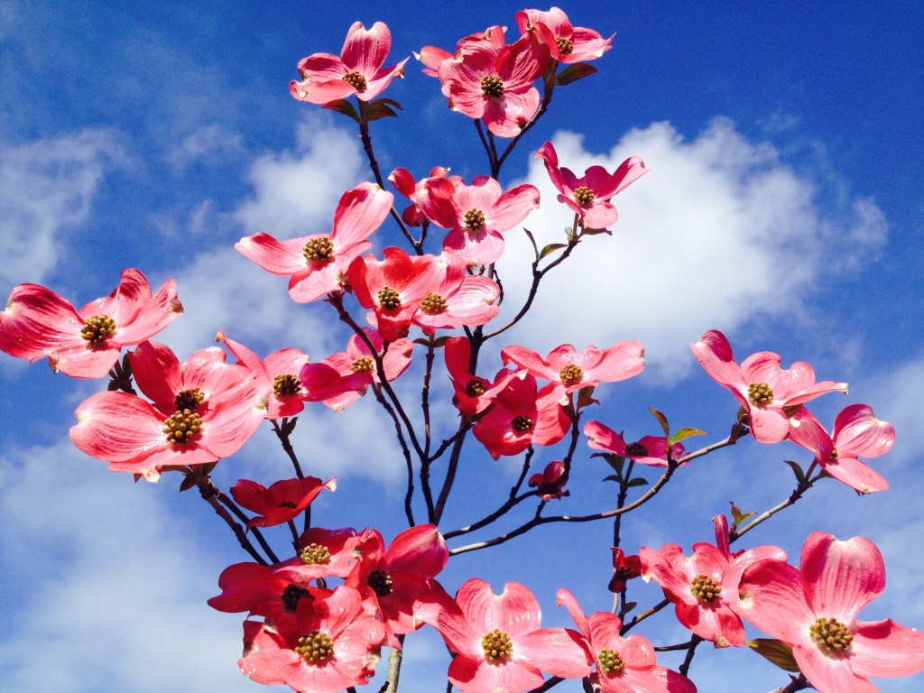 Photo by Jaklyn Larsen