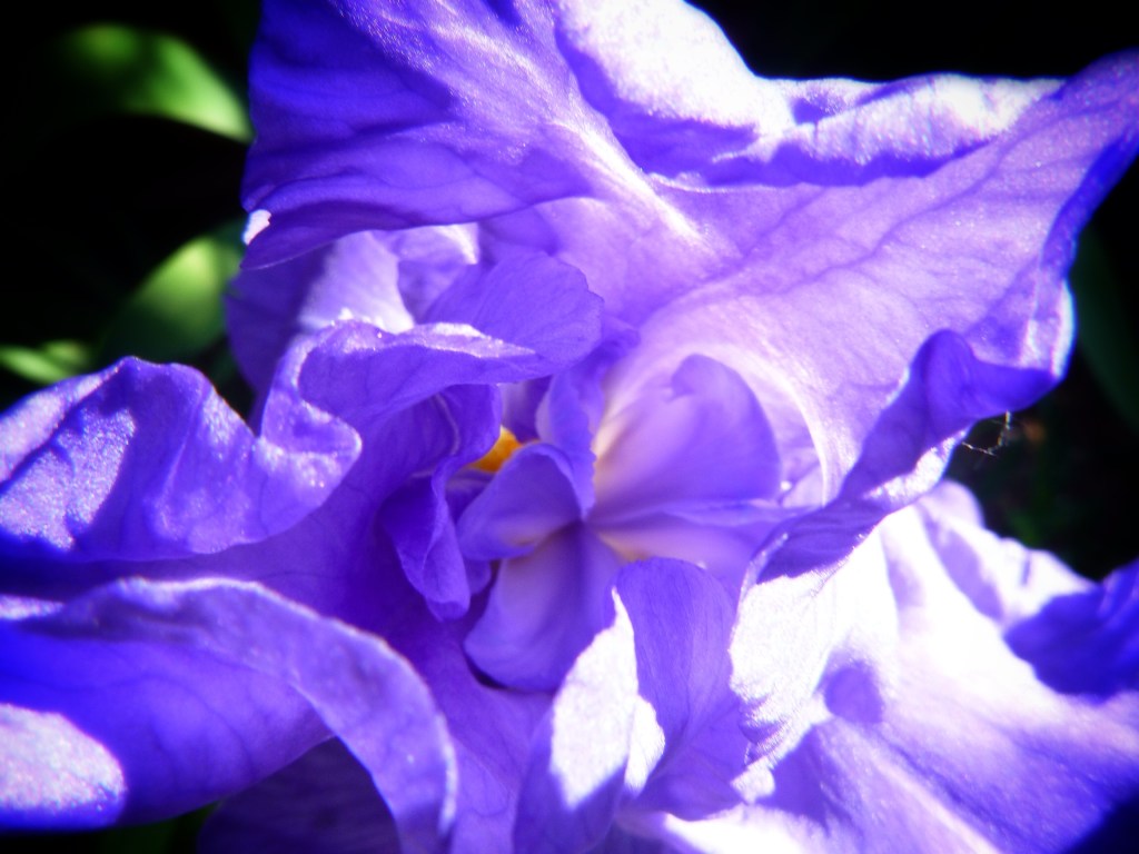 Photo by Jaklyn Larsen