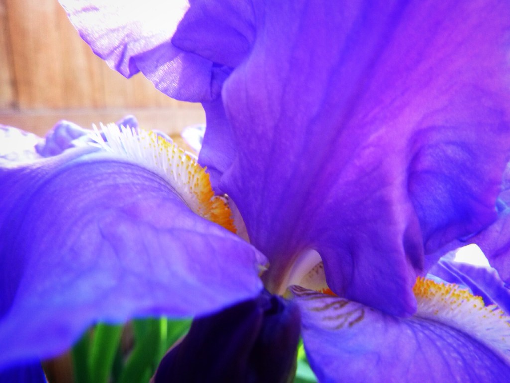 Photo by Jaklyn Larsen