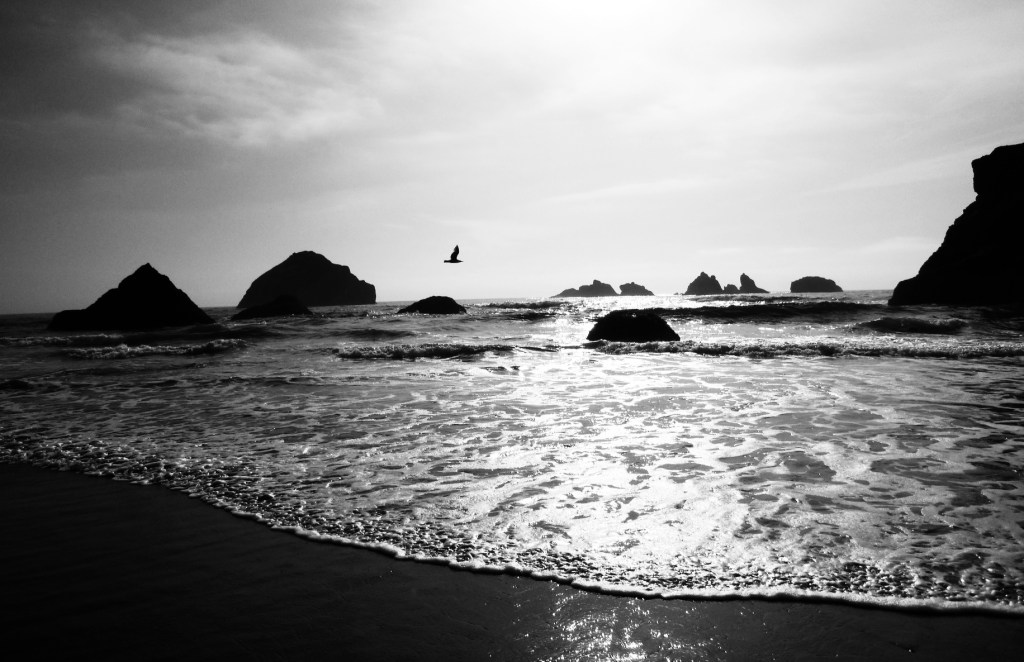 Face Rock in Bandon, Oregon. Photo by Jaklyn Larsen