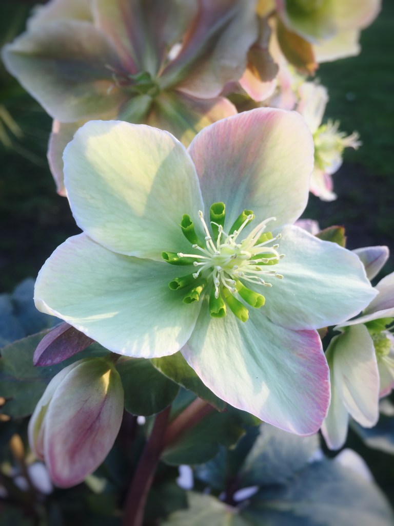 Photo by Jaklyn Larsen