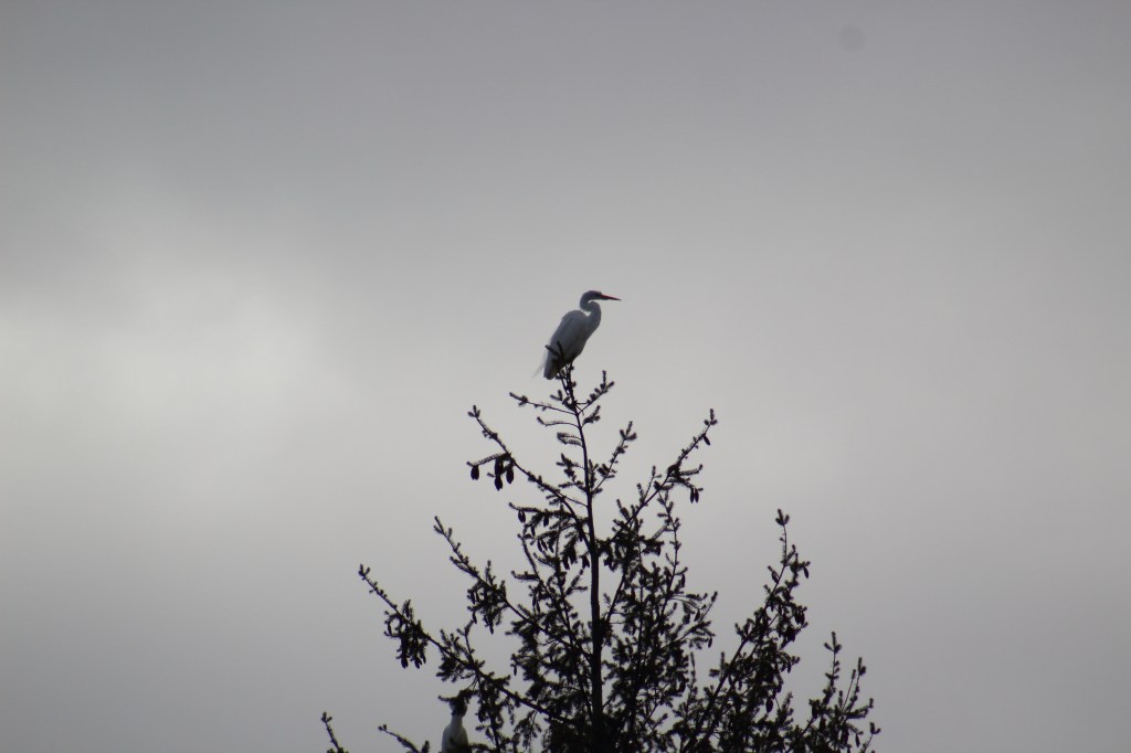 Photo by Jaklyn Larsen